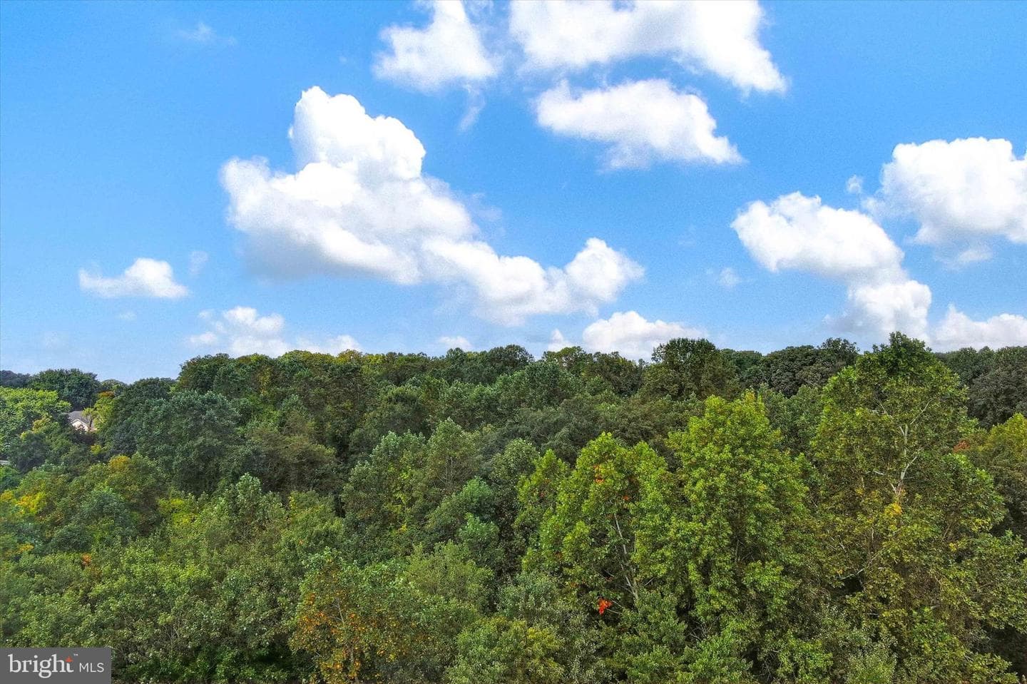 9804 Kerries Court photo 47