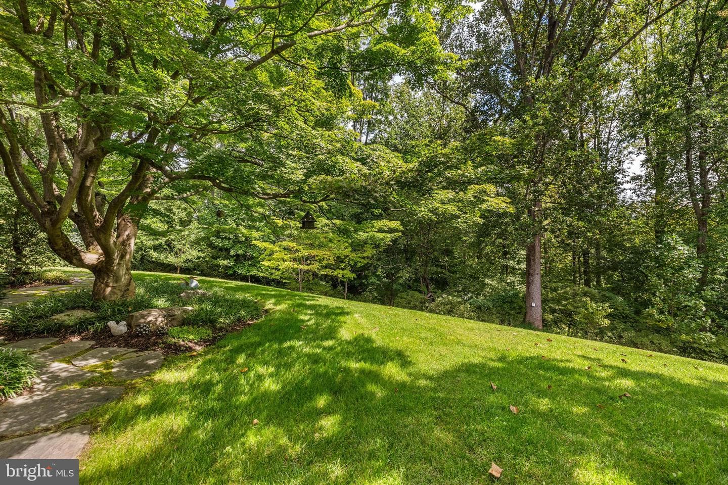 2413 Still Forest Road photo 73