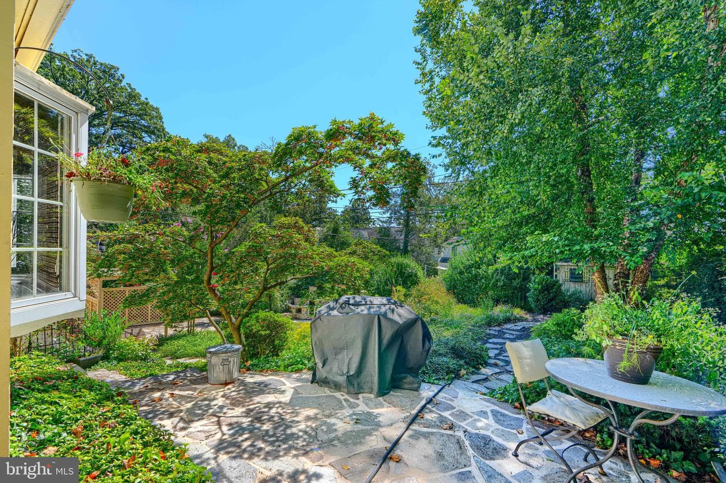 905 Kingston Road photo 46