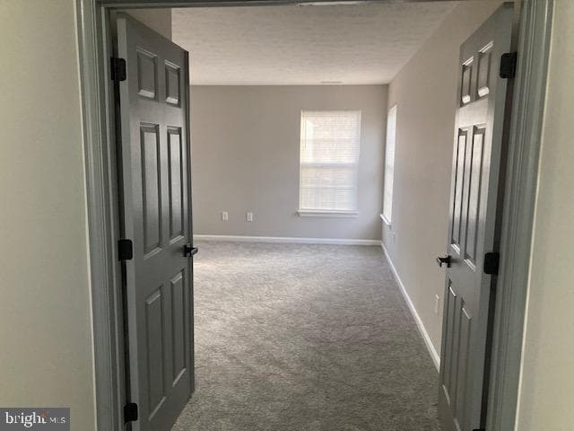 9831 Endora Court photo 23