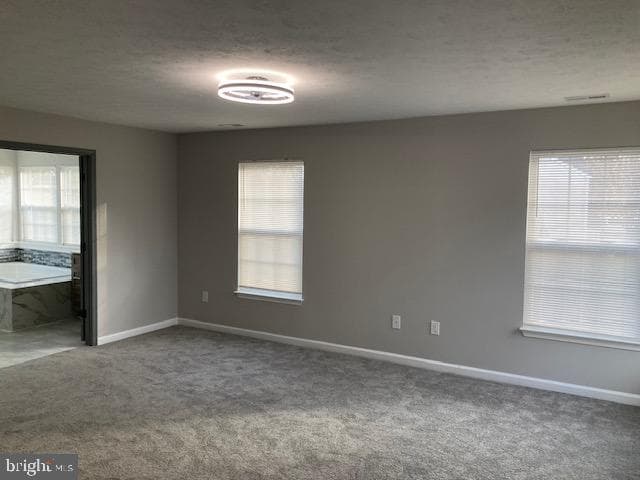 9831 Endora Court photo 24