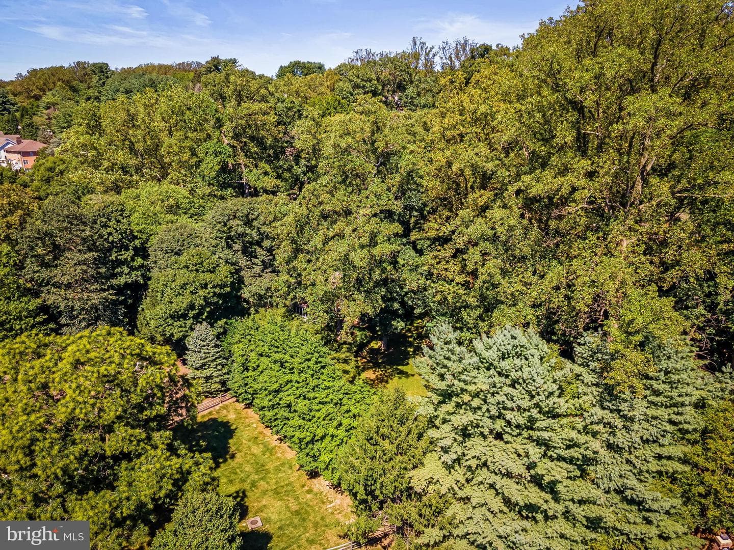 8531 Hill Spring Drive photo 46