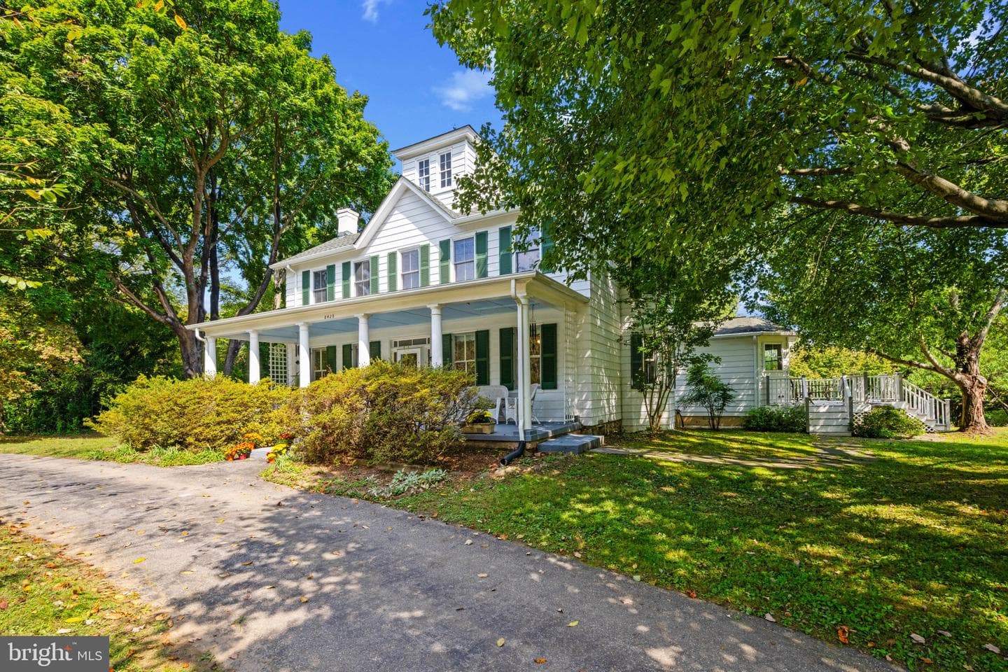 8428 Dogwood Road photo 4