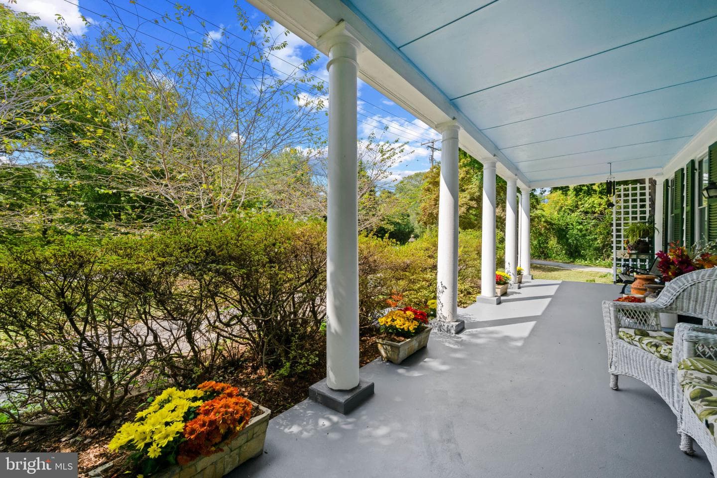 8428 Dogwood Road photo 6