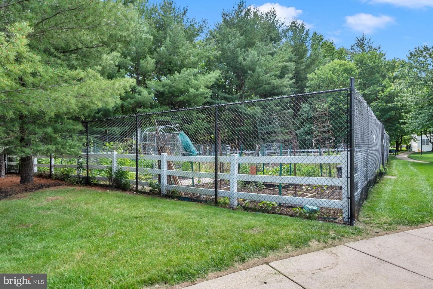 4611 Mews Drive photo 43