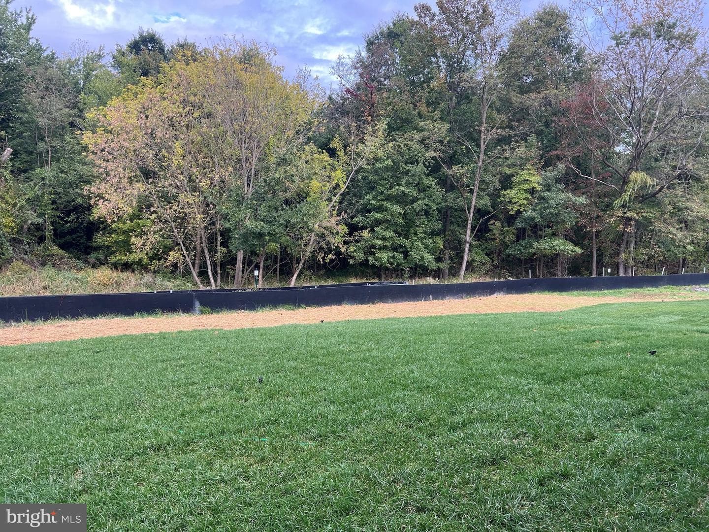 1108 Muddy Branch Court photo 4