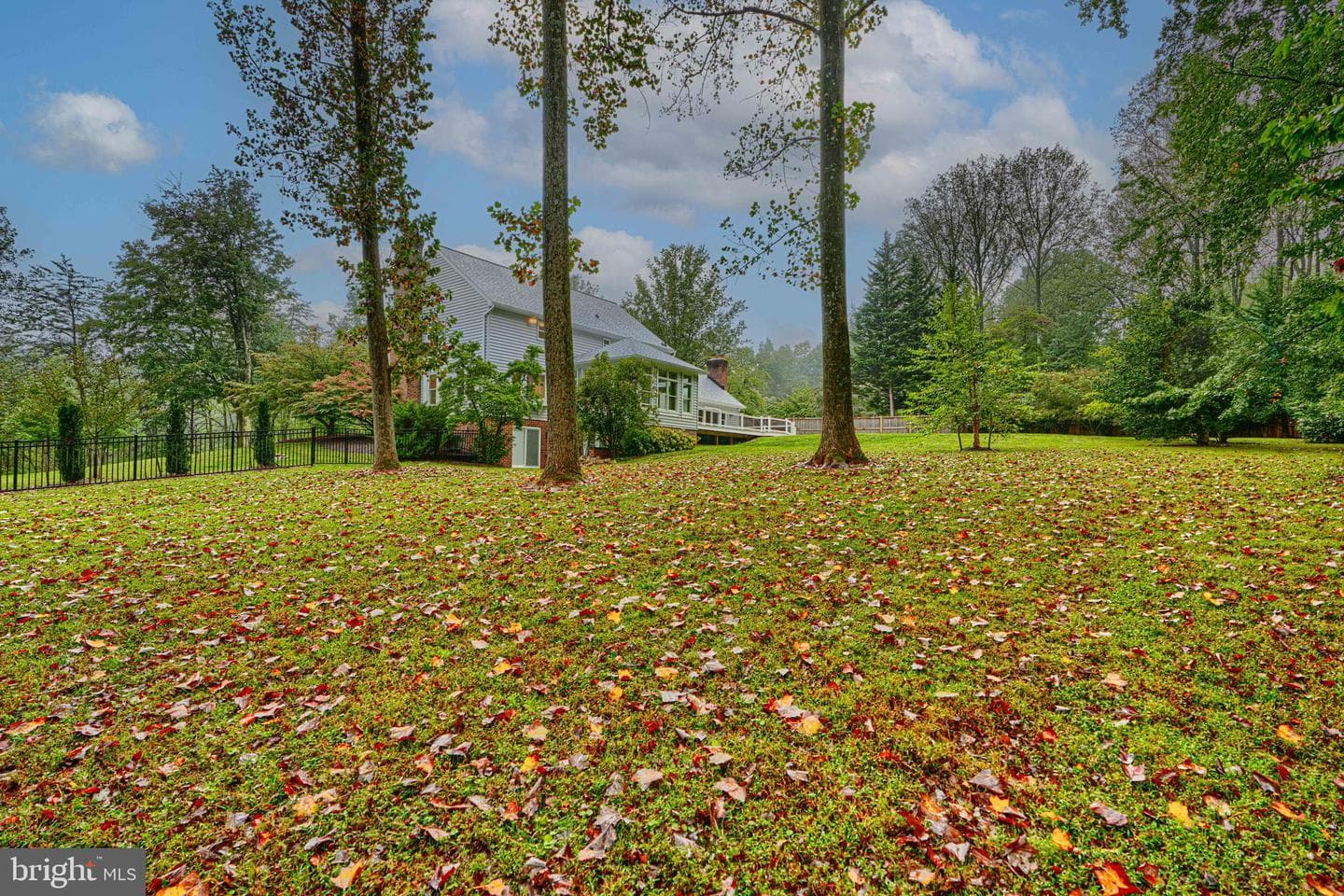 14 Chris Eliot Court photo 94