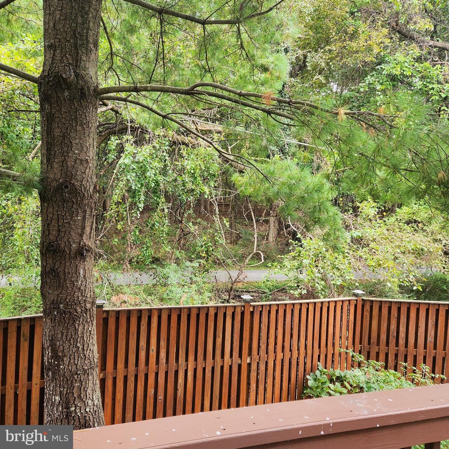 9739 Sherwood Farm Road photo 34