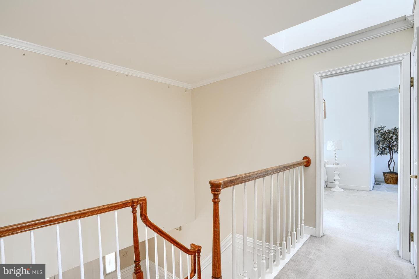 9018 Gardenia Road photo 18