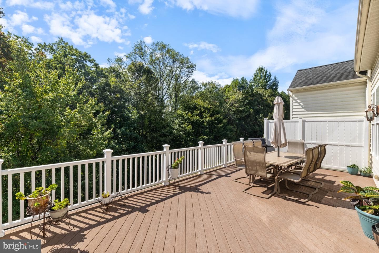 8325 Meadowsweet Road #8325 photo 26