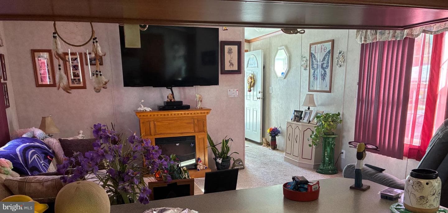 3532 Dahlia Lane photo 3