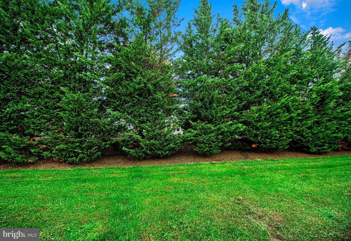 7105 Rutherford Green Circle photo 28