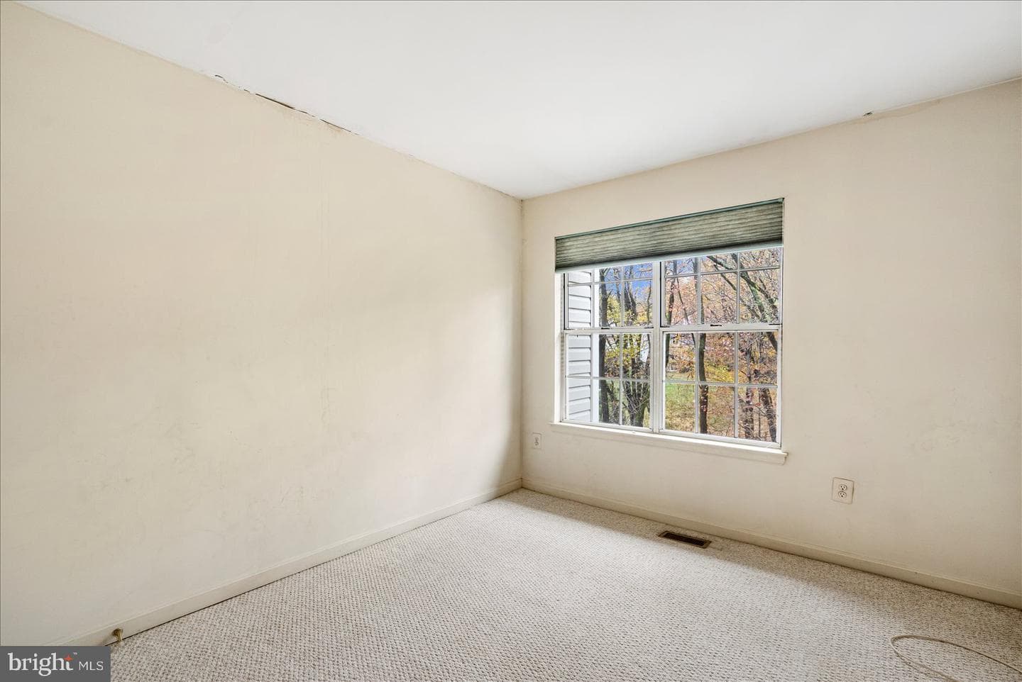 20 Windy Meadow Court photo 18