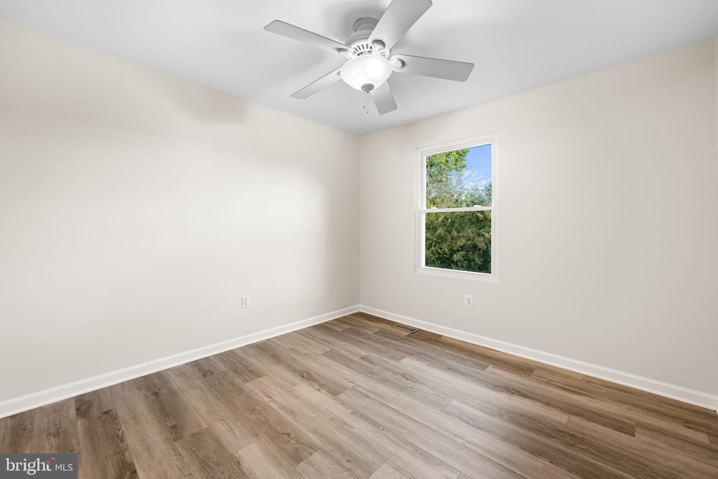 241 Green Fern Way photo 19