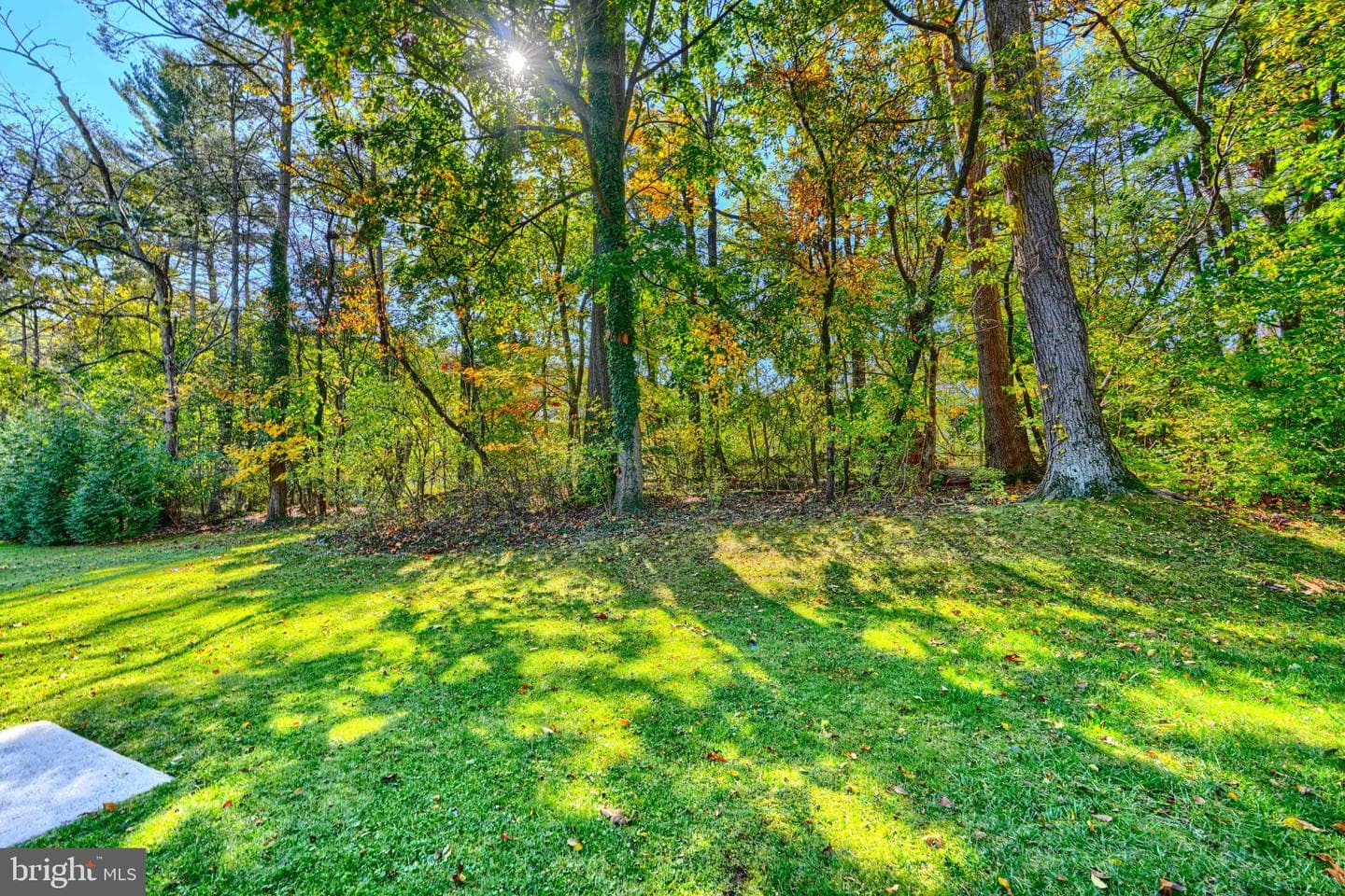 41 Cherrywood Ct photo 33