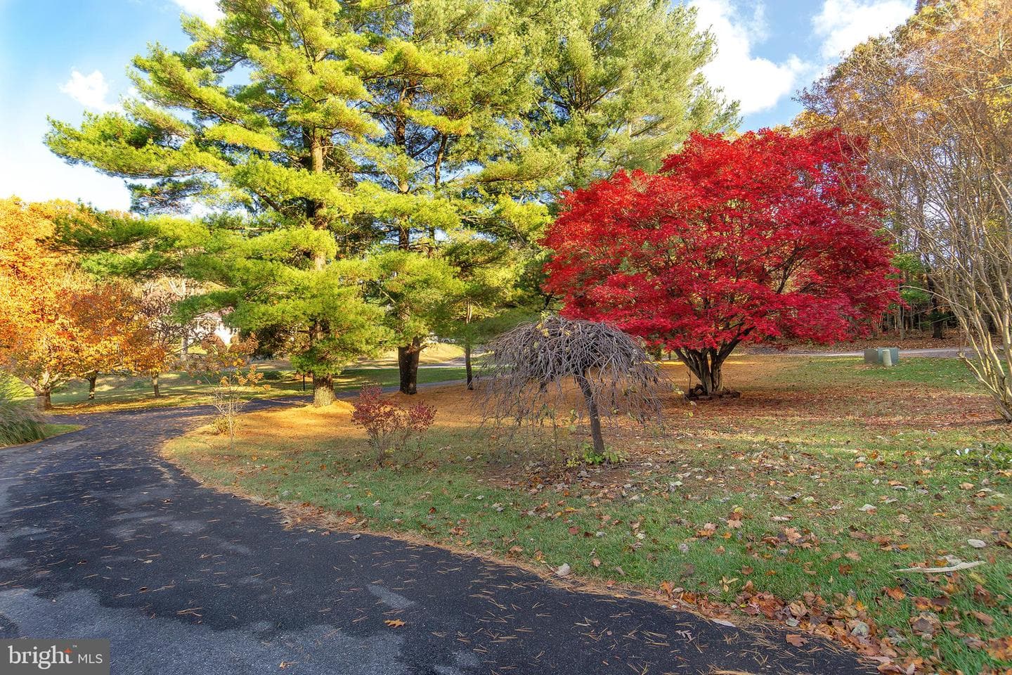 17718 Pretty Boy Dam Road photo 4