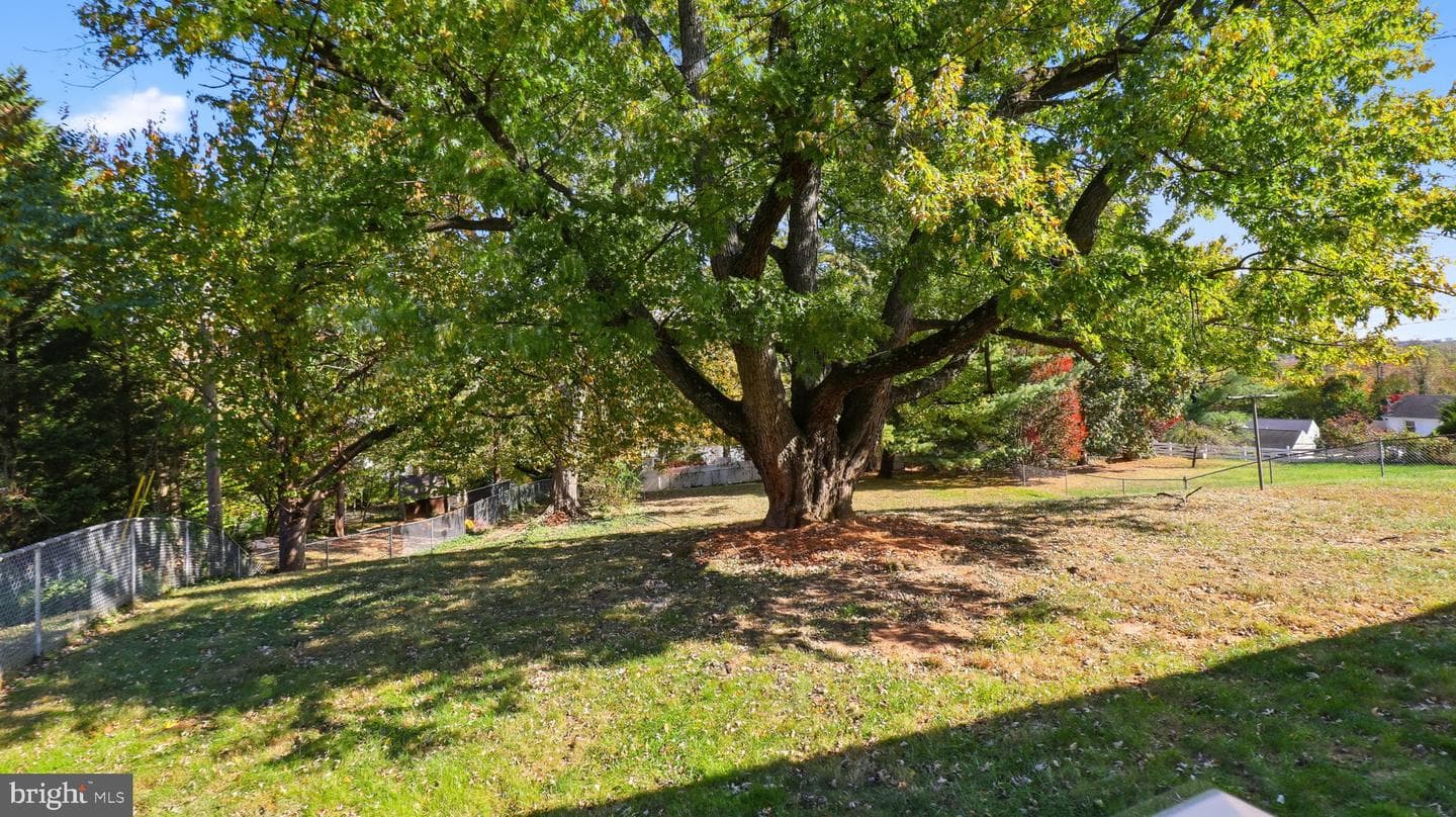1803 Palo Circle photo 39