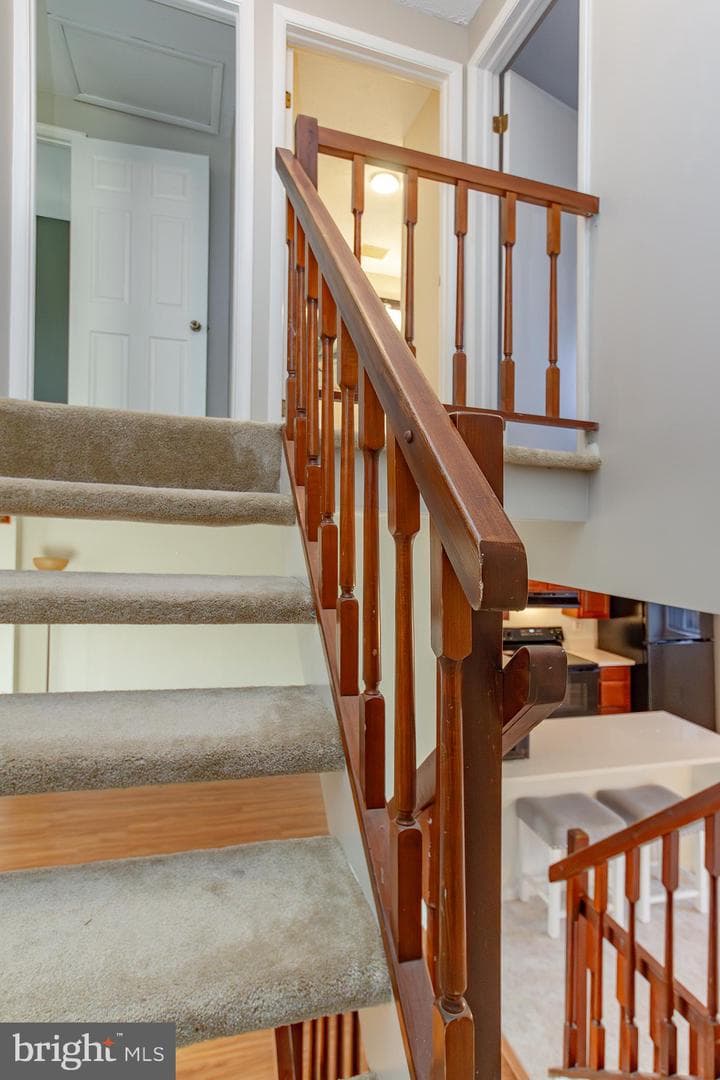 20 Hoban Court photo 11