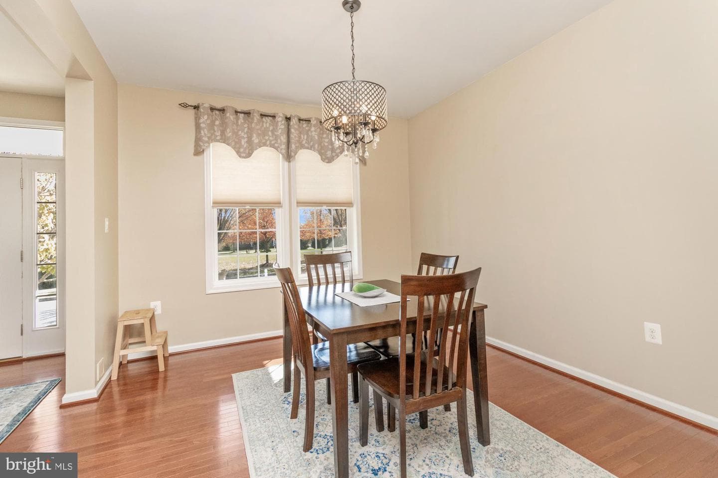9808 Ballymahon Court photo 16