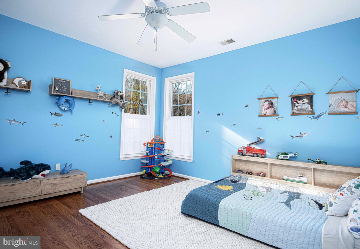 14516 Cuba Road photo 52