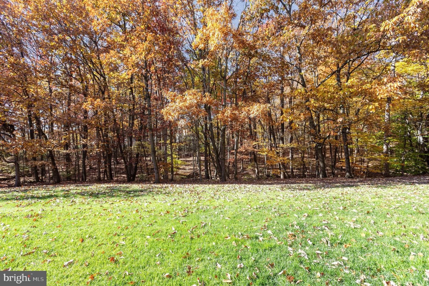 3901 Darleigh #c photo 22