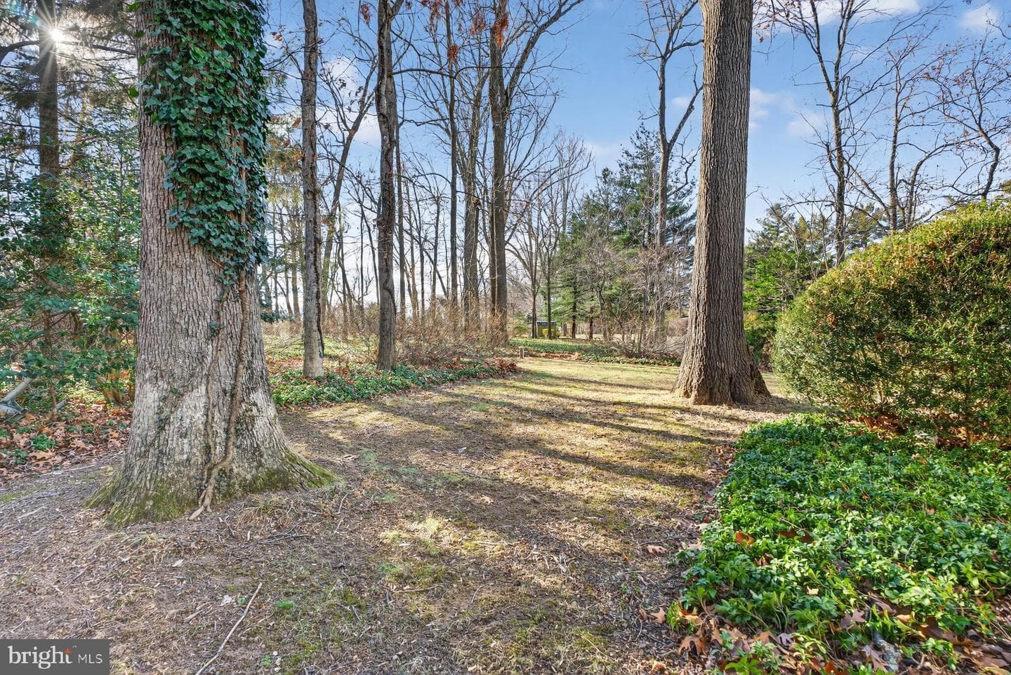 1015 Nicodemus Road photo 38