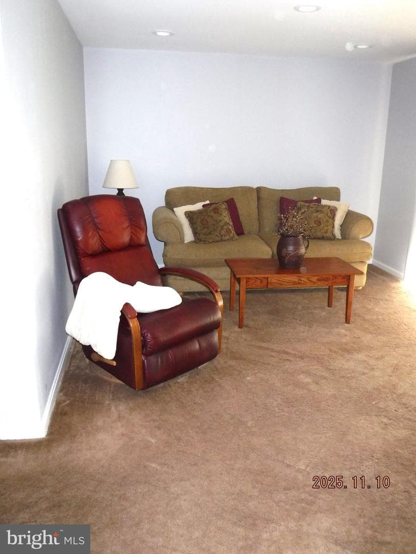 8918 Whitetail Court photo 54