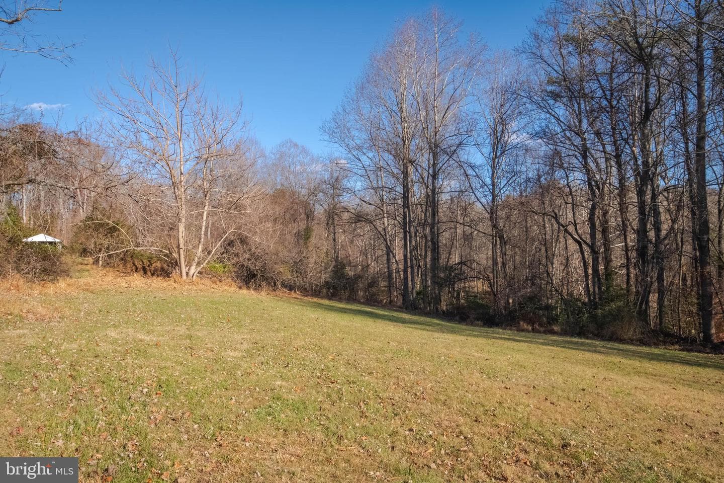 10645 Davis Avenue photo 39