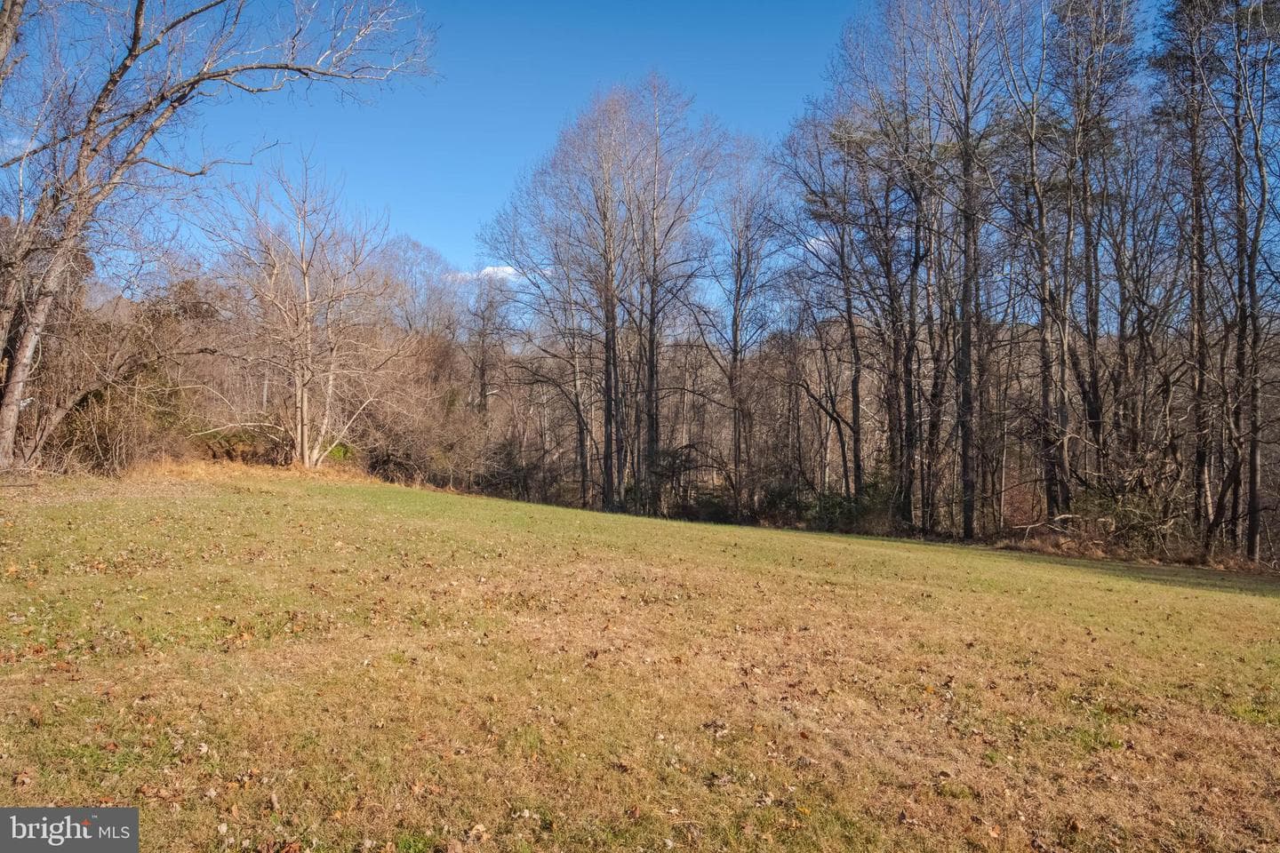 10645 Davis Avenue photo 40