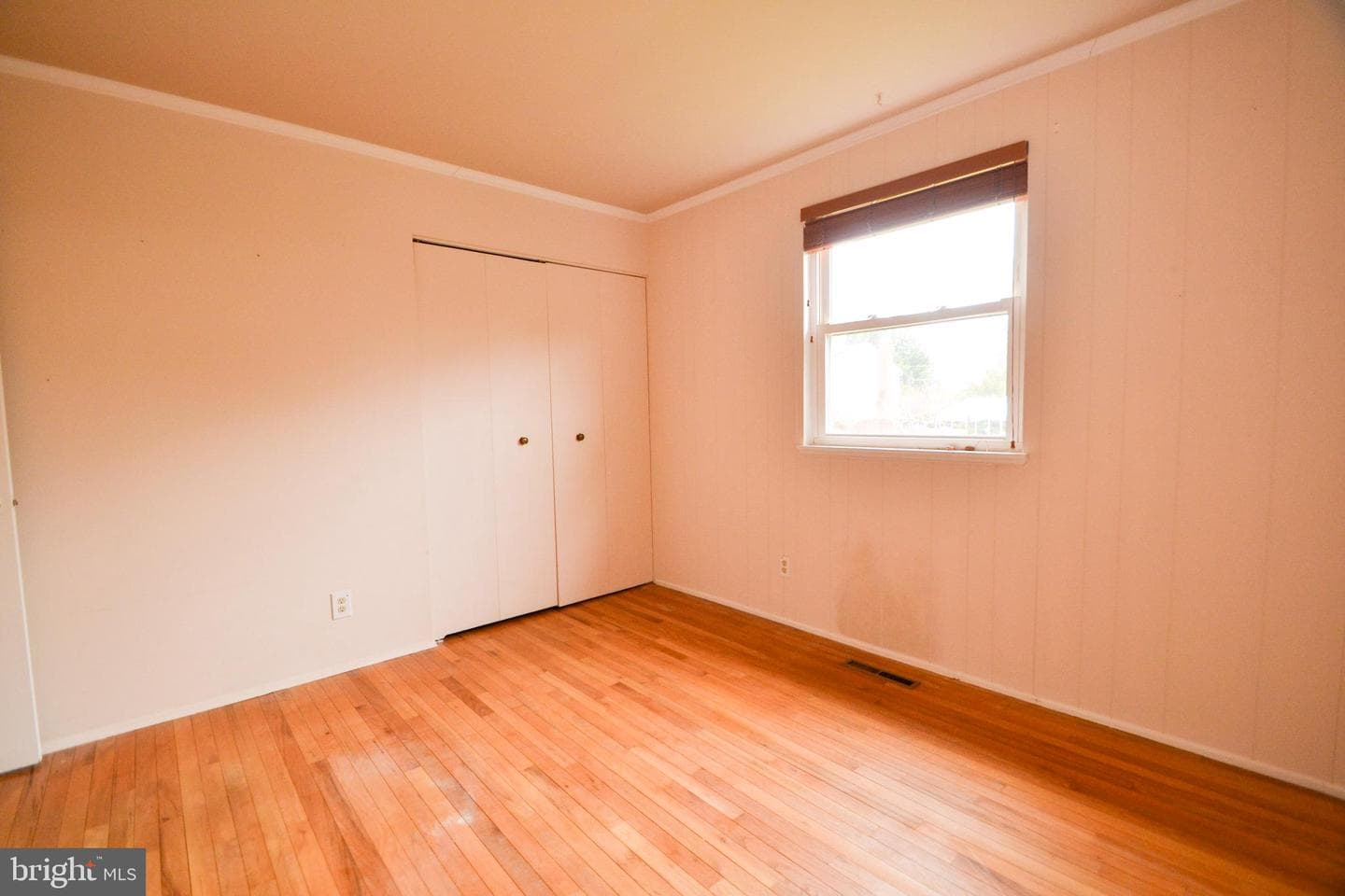 120 Lamport Road photo 14