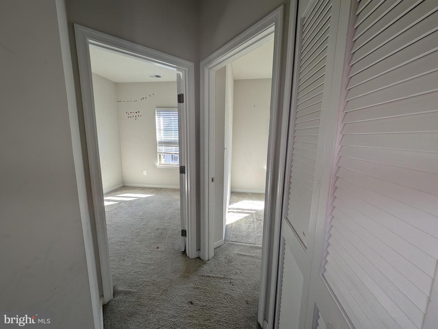 10018 Sandy Run Road photo 15