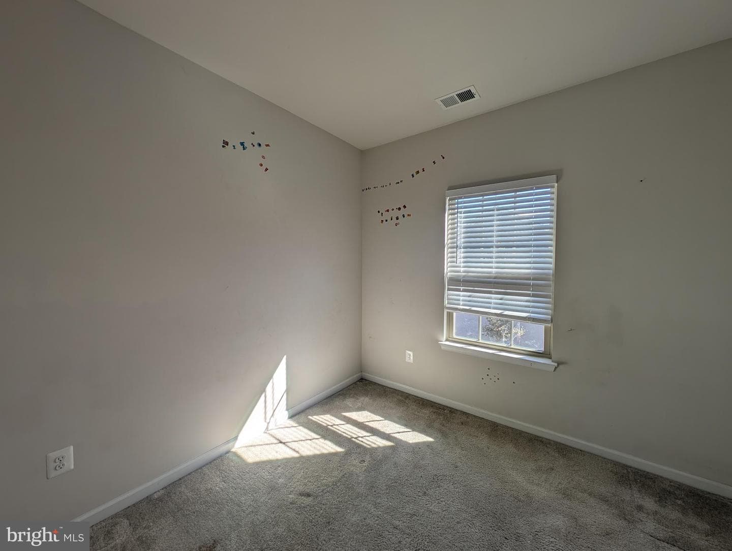 10018 Sandy Run Road photo 16