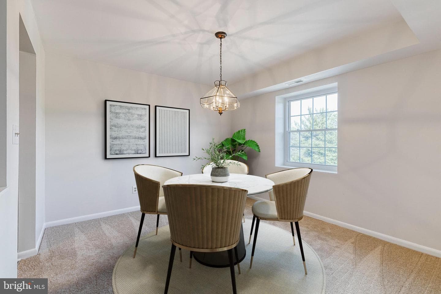11 Elphin Court #301 photo 11