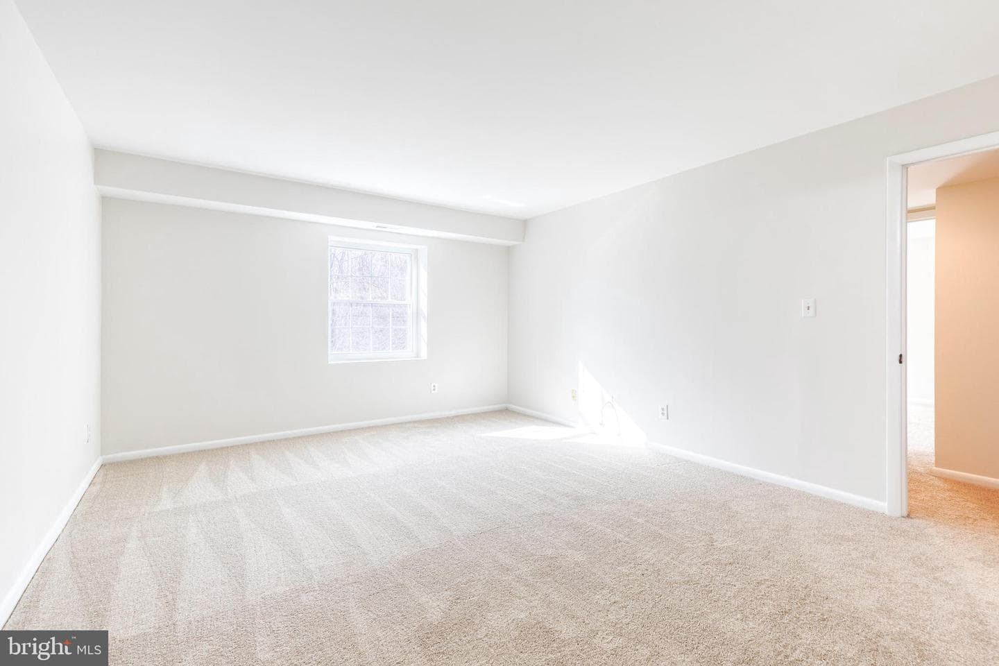 11 Elphin Court #301 photo 21
