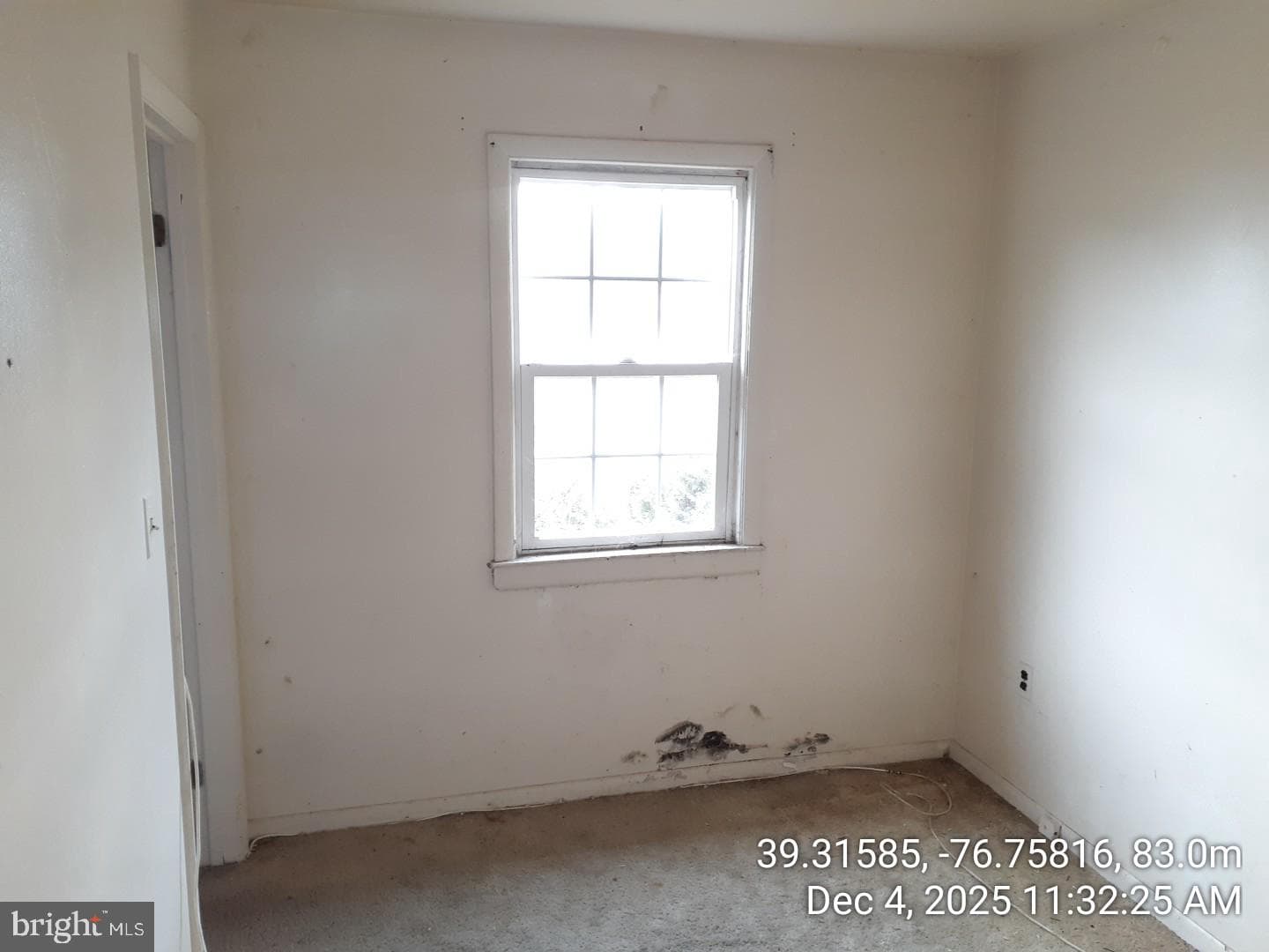 7104 Iverson Court photo 28