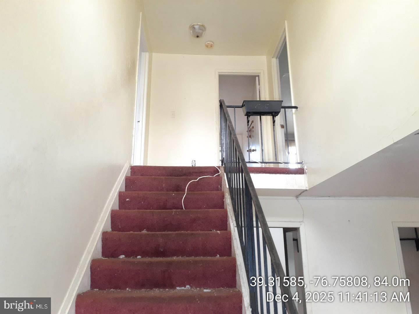 7104 Iverson Court photo 39