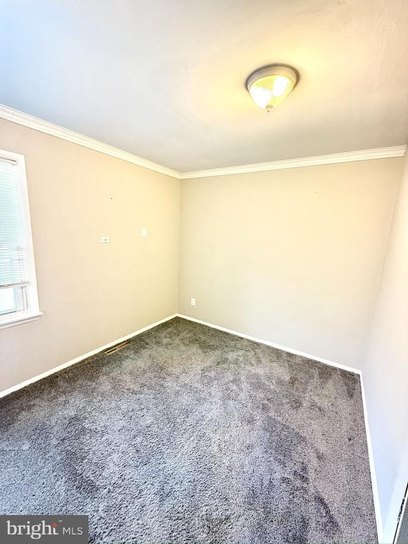 1215 Kent photo 18