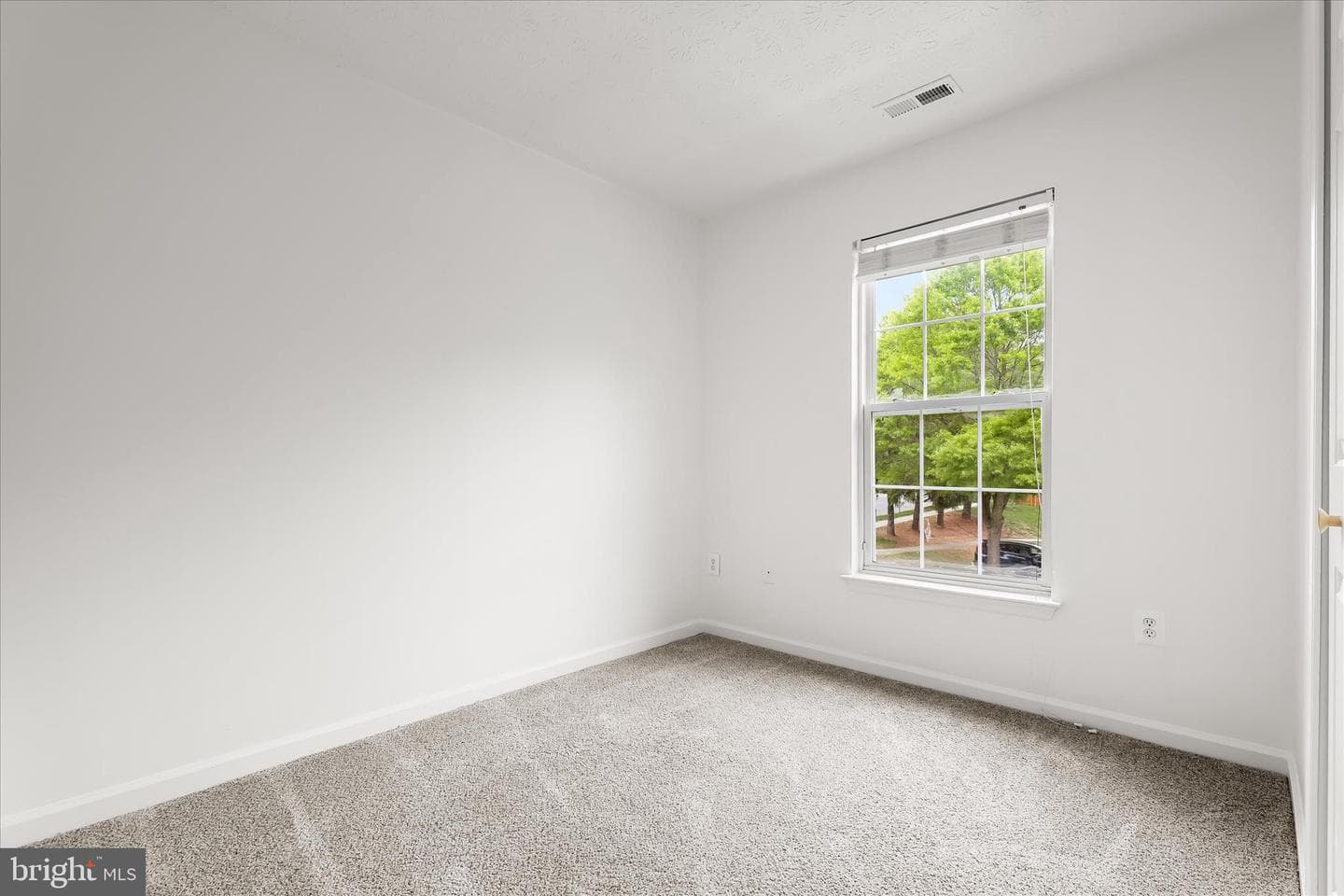 3 Silver Birch Court photo 33