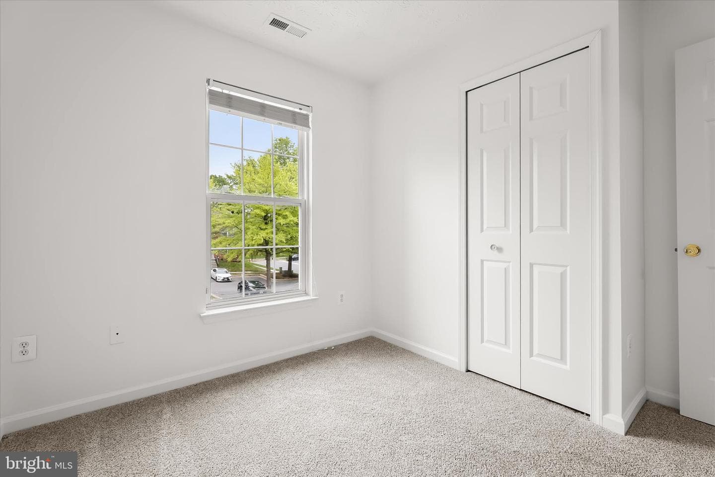 3 Silver Birch Court photo 34