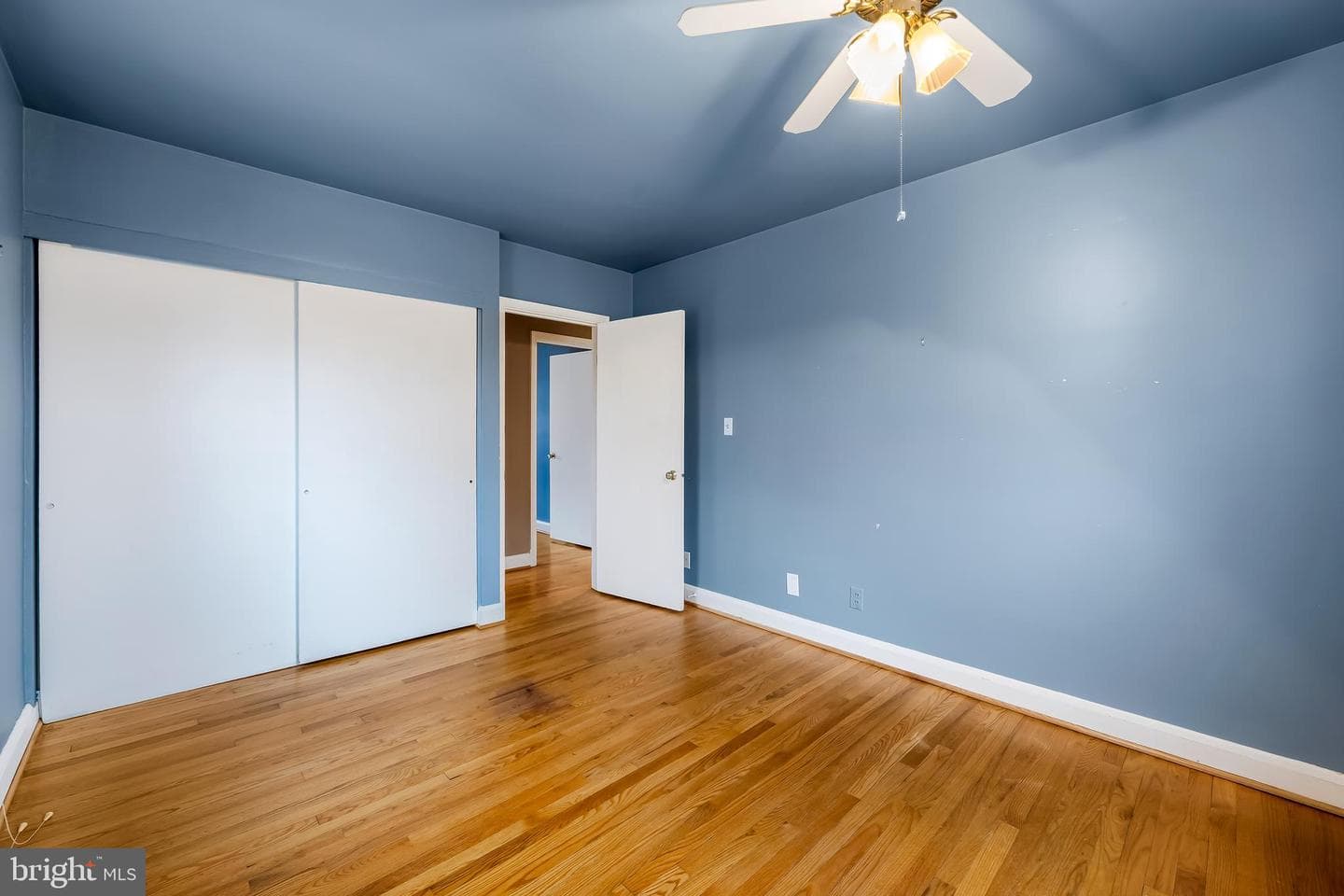 9 Wilfred Court photo 24