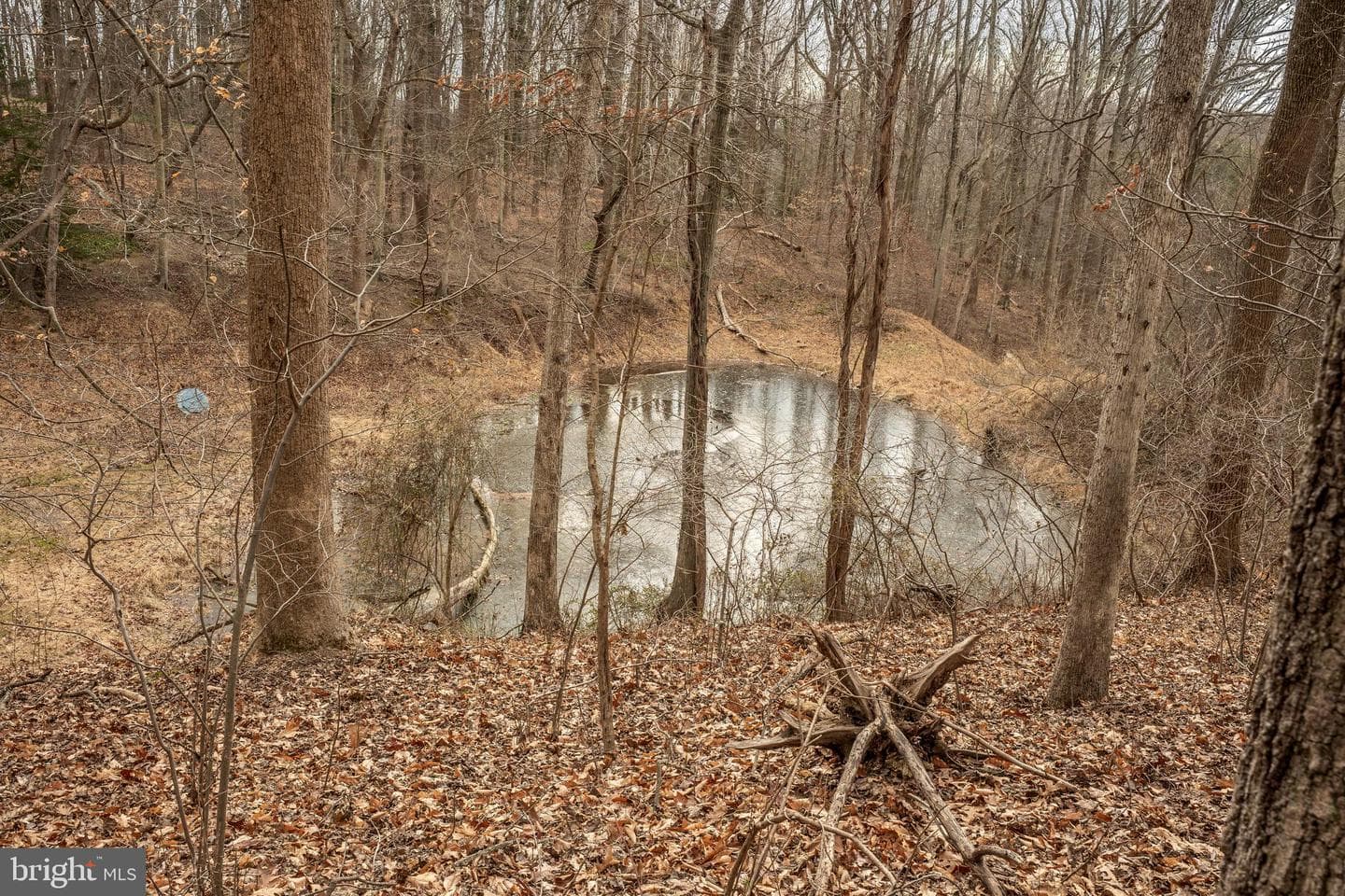 11112 Old Carriage Road photo 80