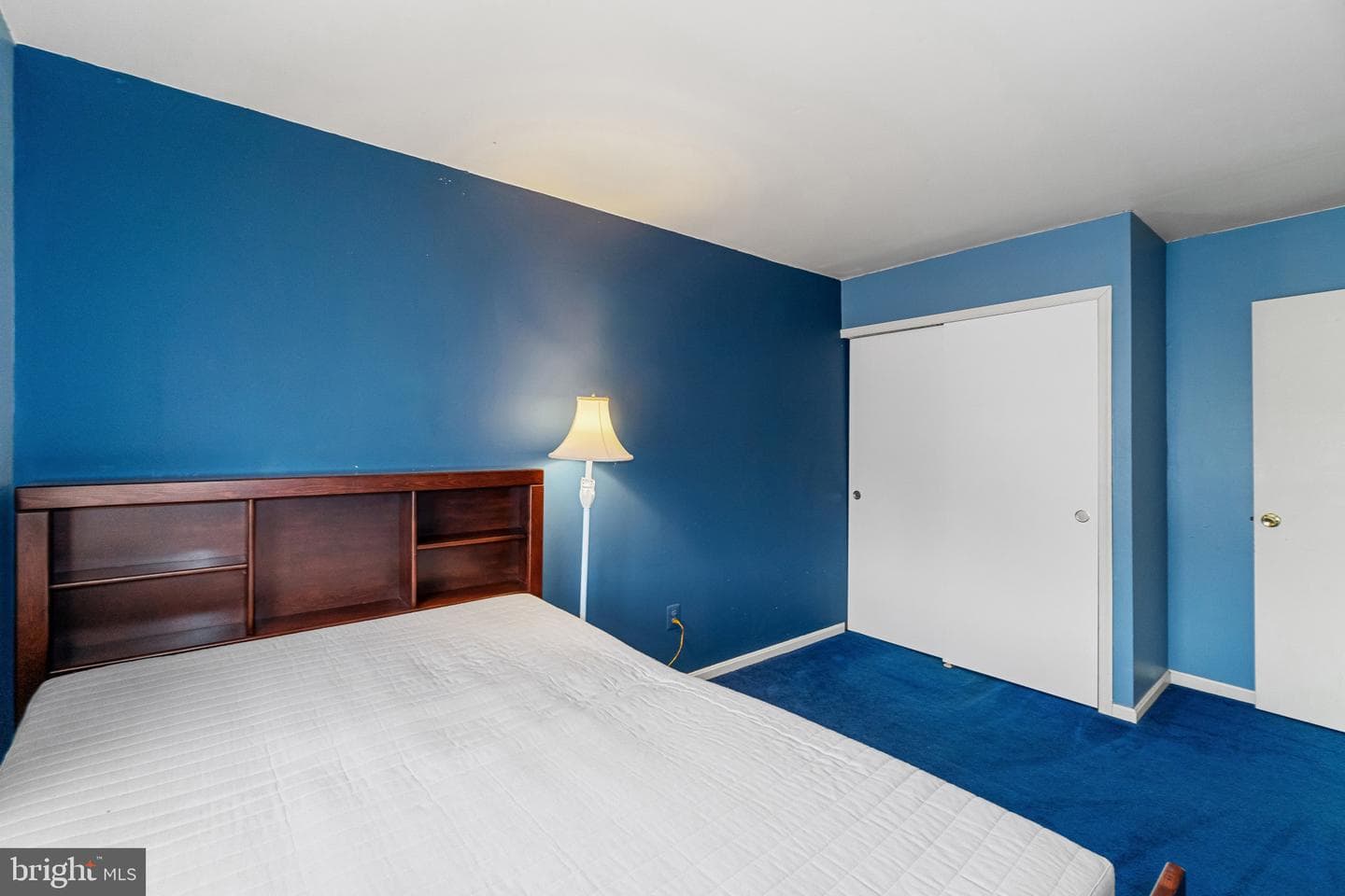 41 Chesthill Court photo 18