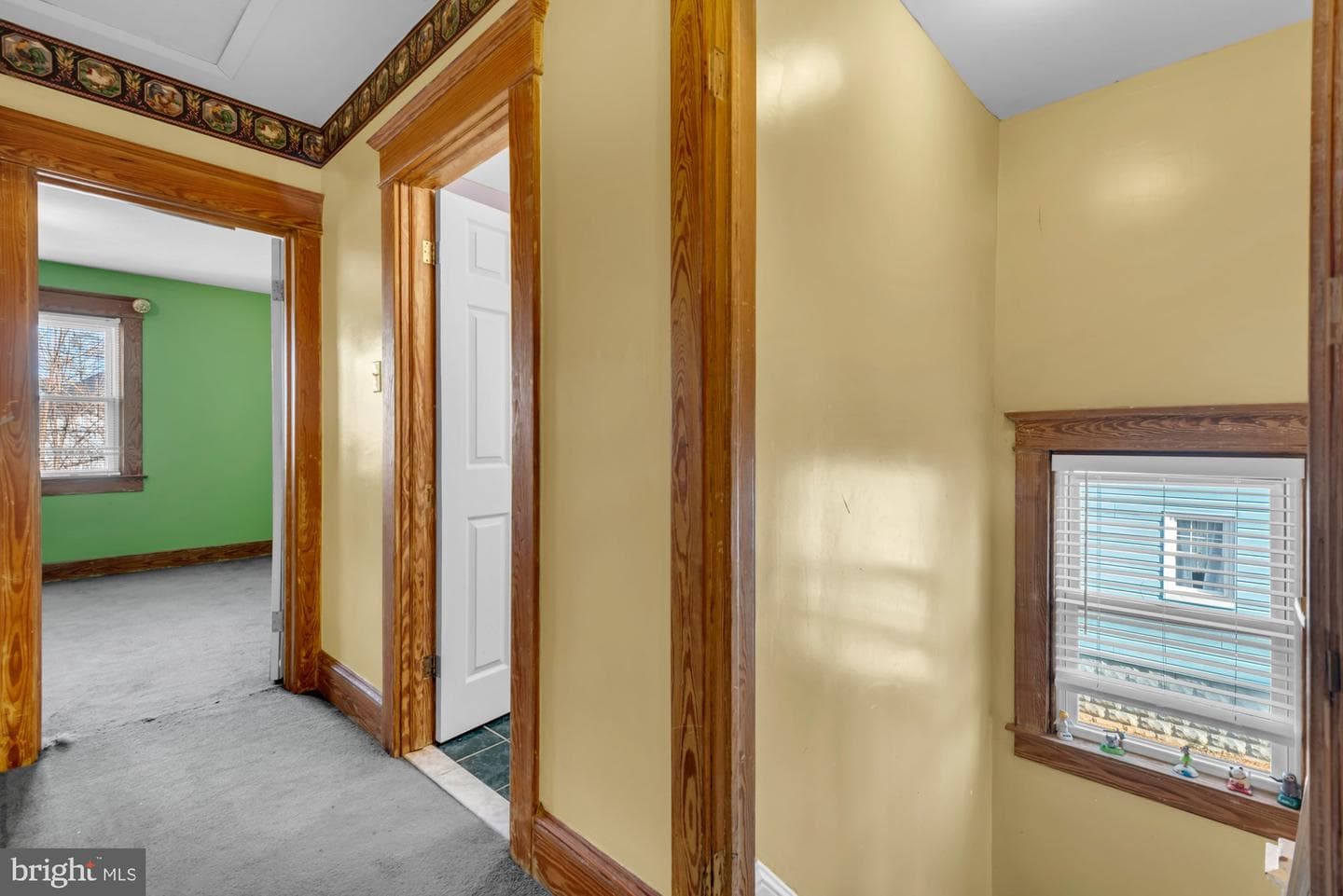 20 Waldron Avenue photo 26