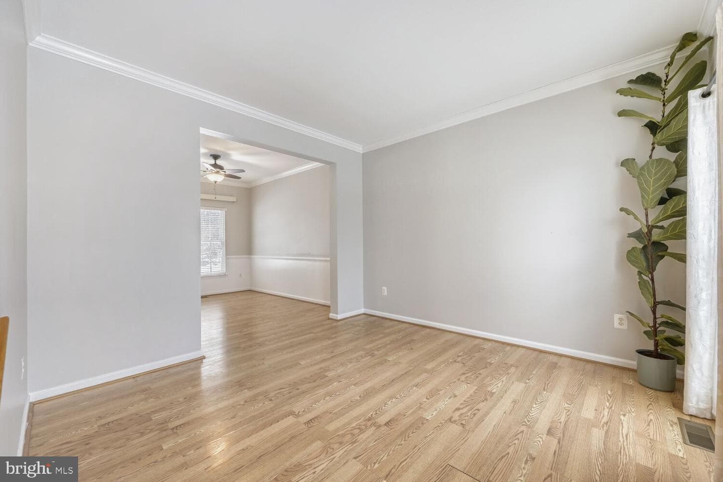 11400 Eunice Court photo 12