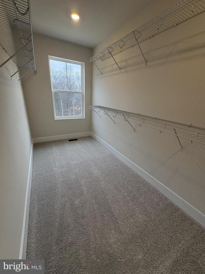 7701 River Reach Road photo 9