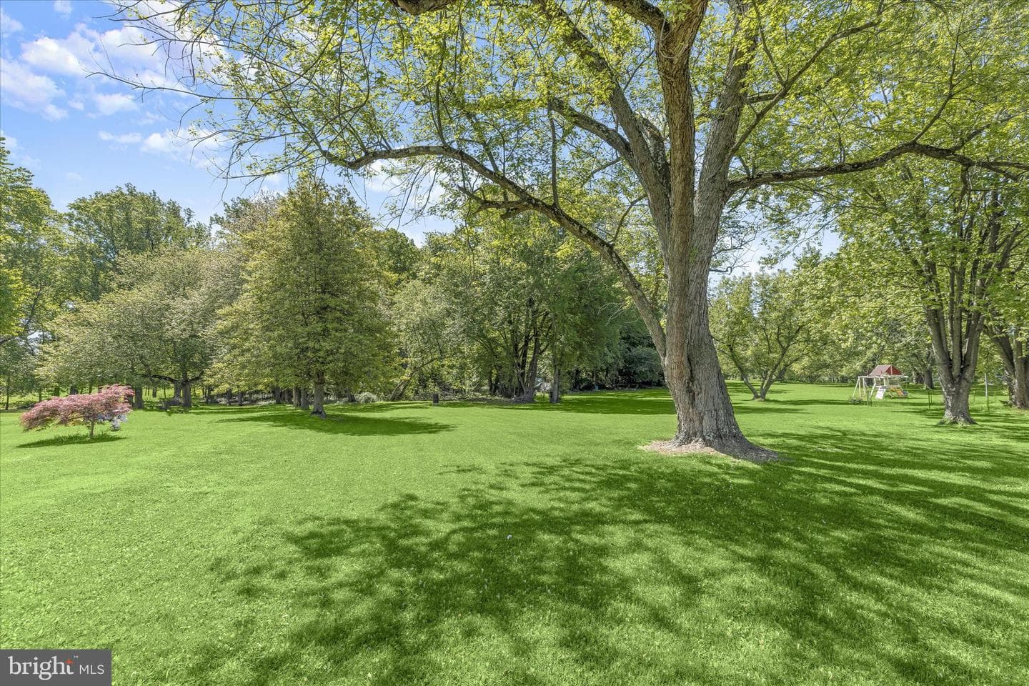 10119 Bird River Road photo 41