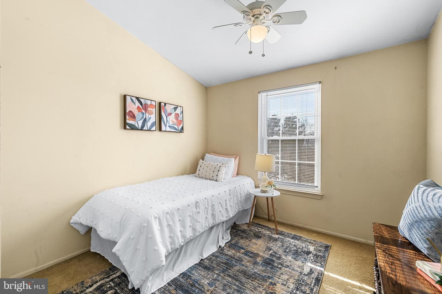 24 Boulder Court photo 26