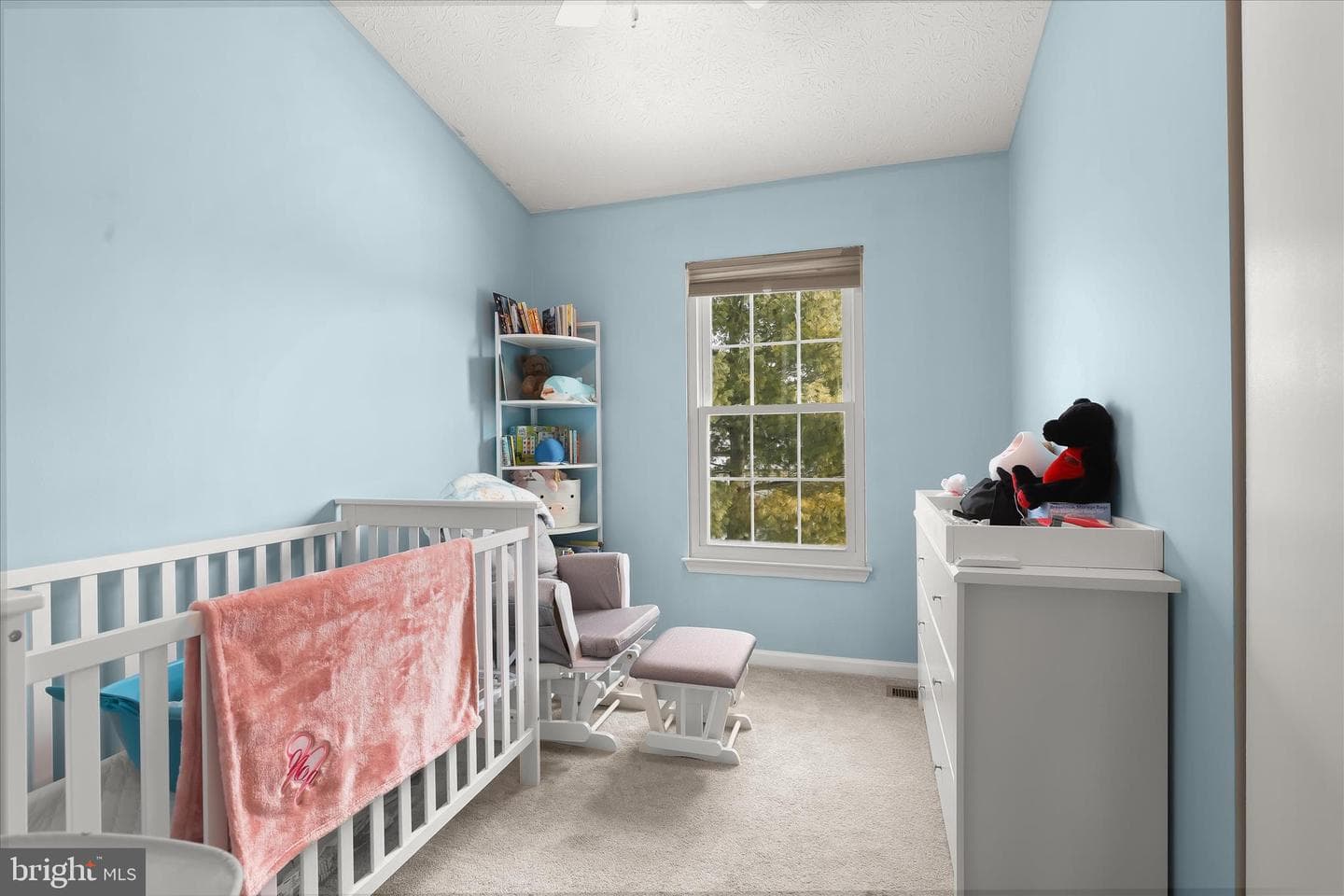 2019 Amber Way photo 14