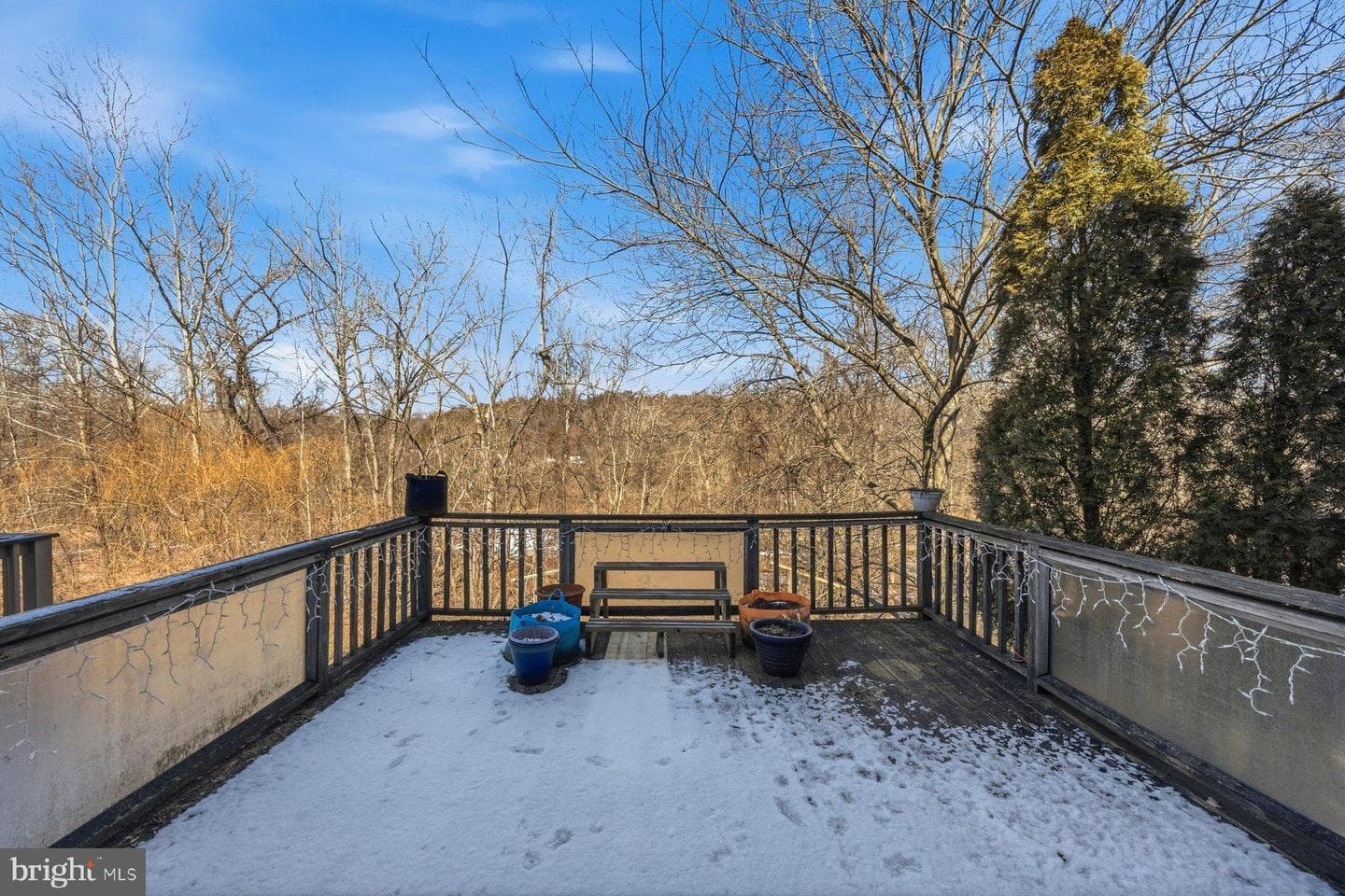 58 Hardwood Drive photo 18
