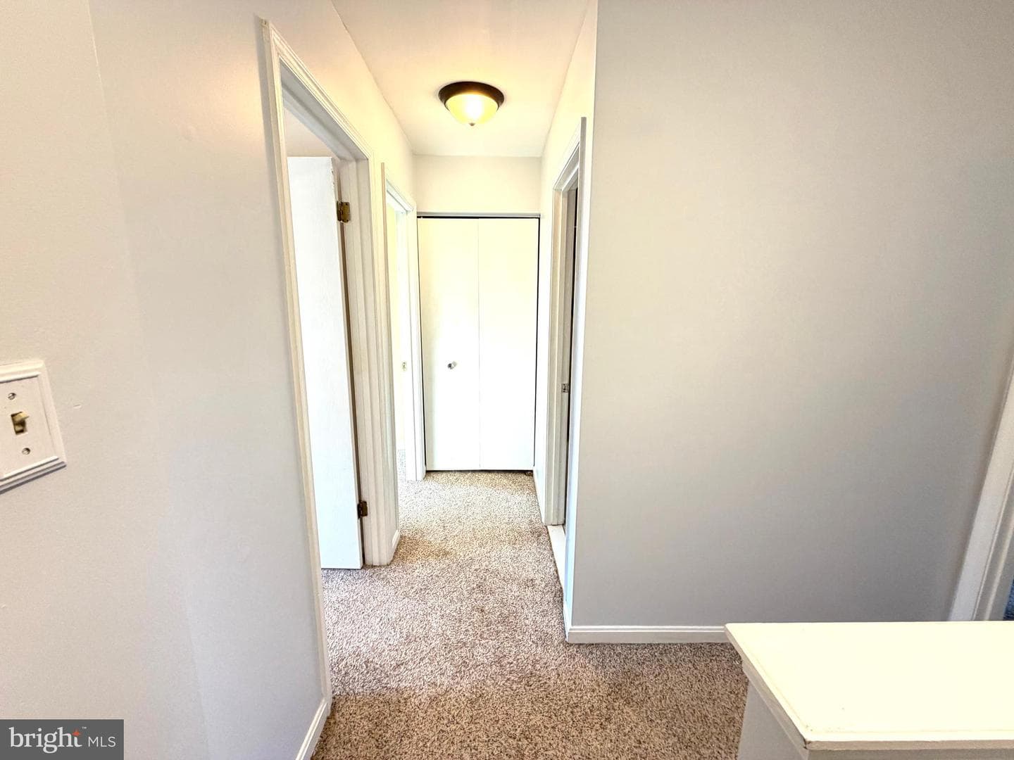 8 Hardwood Drive photo 20